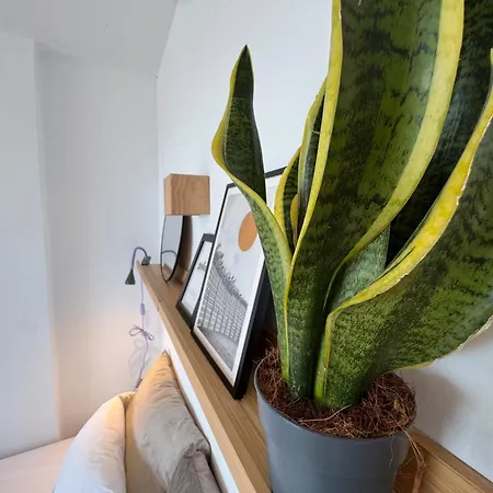 Apartamento Rincón Del Mar Tacoronte